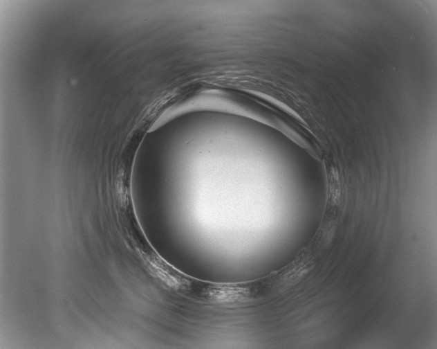 X0000079330670200611171150