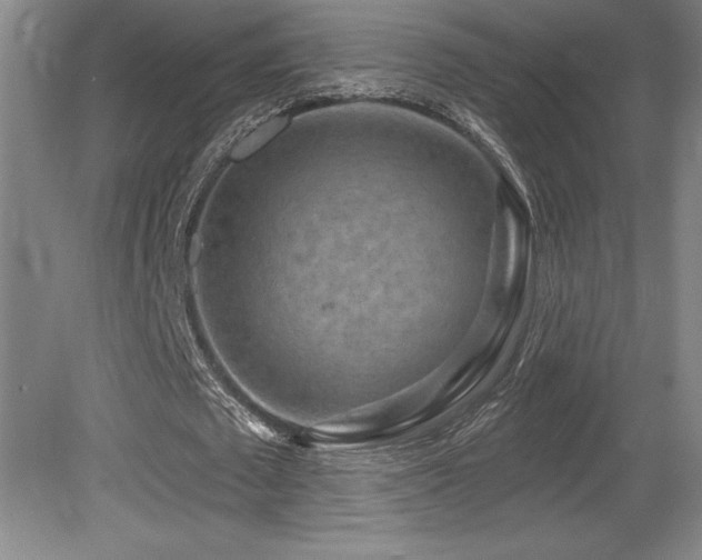 X0000079330673200611171150