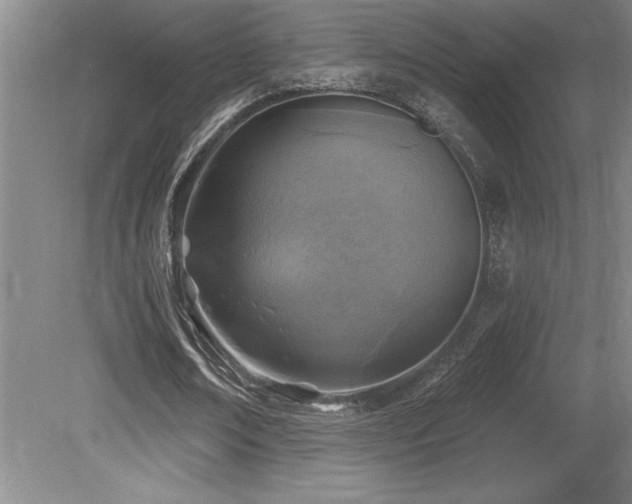 X0000079330674200611171150