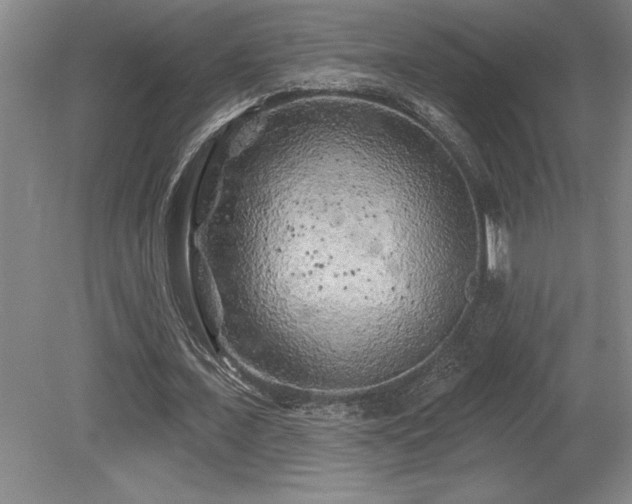 X0000079330675200611171150