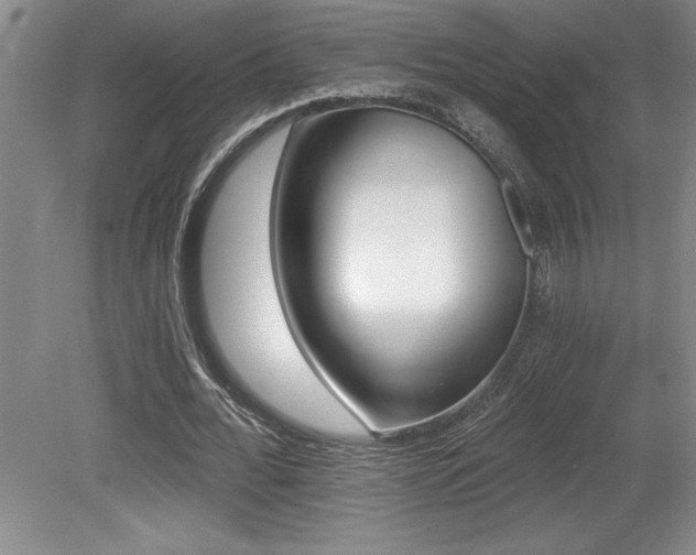 X0000079330676200611171150
