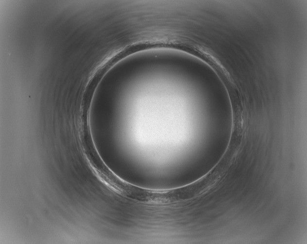 X0000079330677200611171150