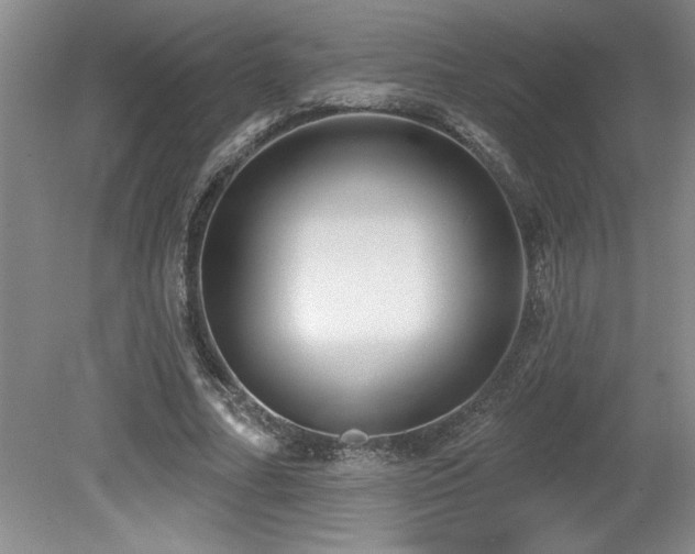 X0000079330682200611171149