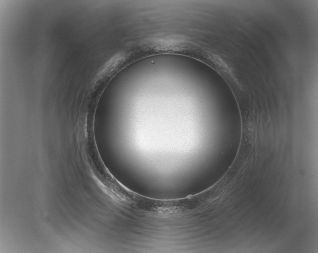 X0000079330686200611171149