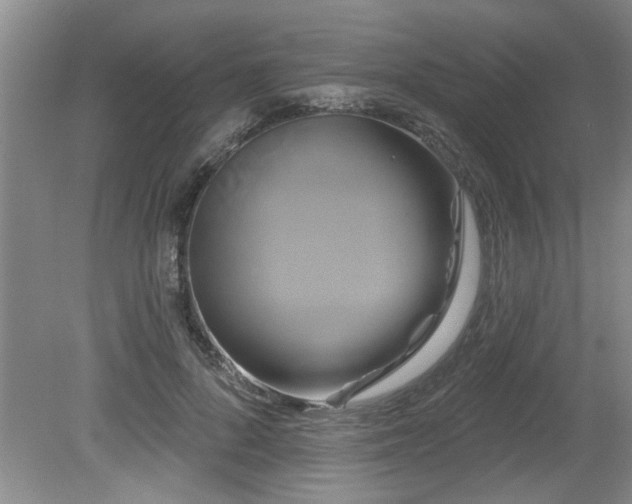 X0000079330696200611171149