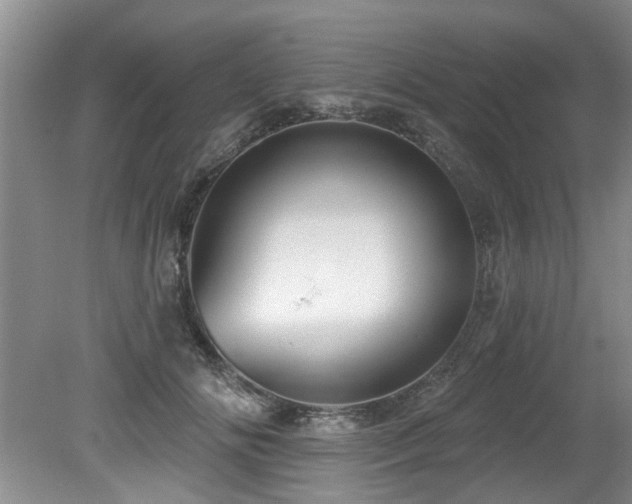 X0000079330702200611171149