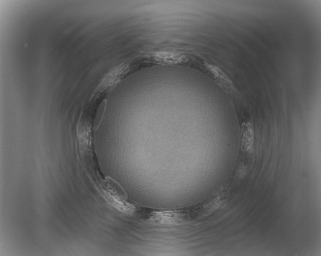 X0000079330713200611171149