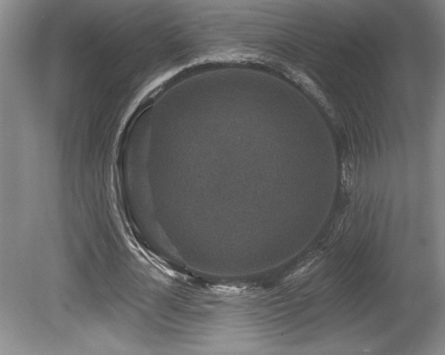 X0000079330724200611171148