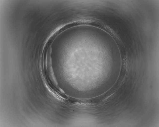 X0000079330726200611171148