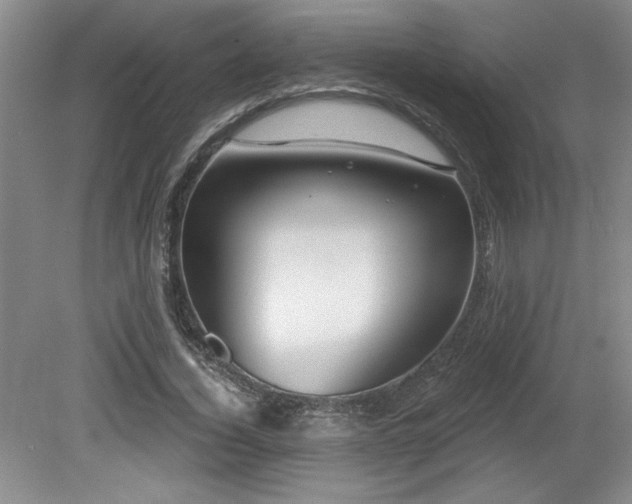X0000079330732200611171148