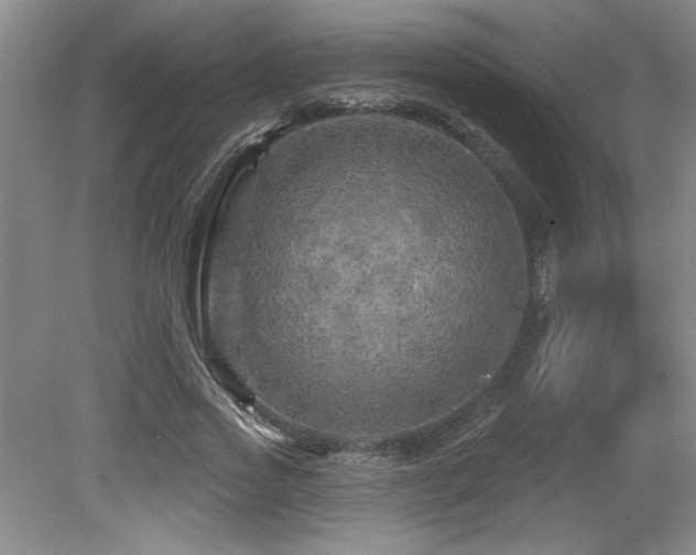 X0000079330733200611171148