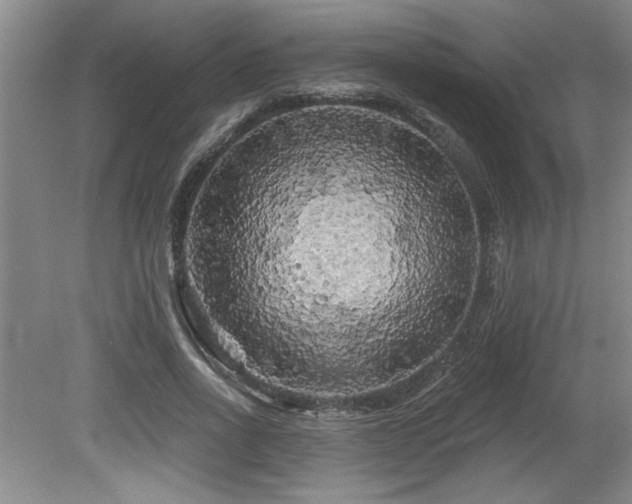X0000079330734200611171148