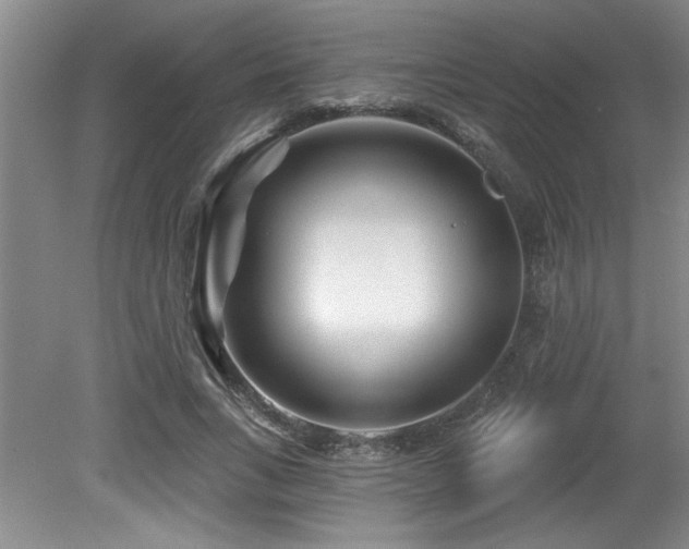 X0000079330735200611171148