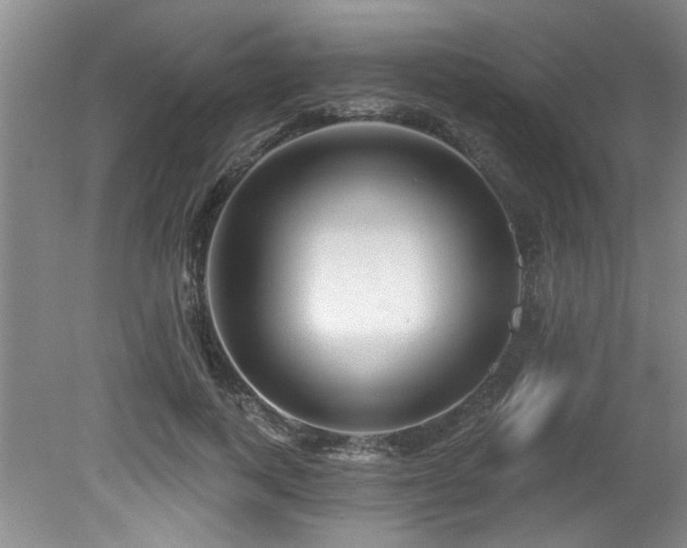 X0000079330743200611171148