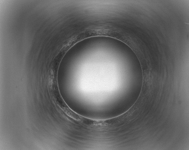 X0000079330752200611171149
