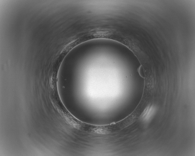 X0000079330755200611171149