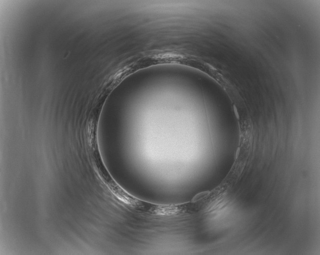 X0000079330767200611171149