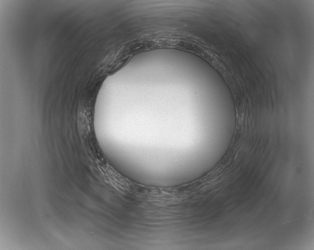X0000079330772200611171148