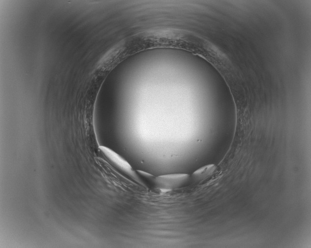 X0000079330774200611171148