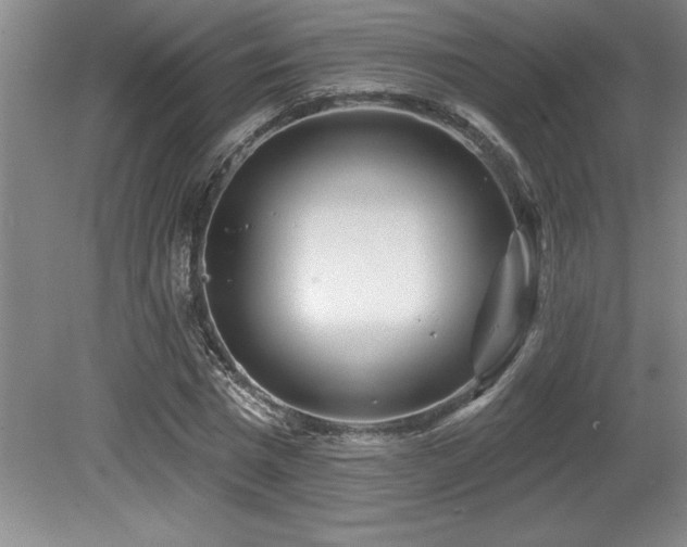 X0000079330777200611171148