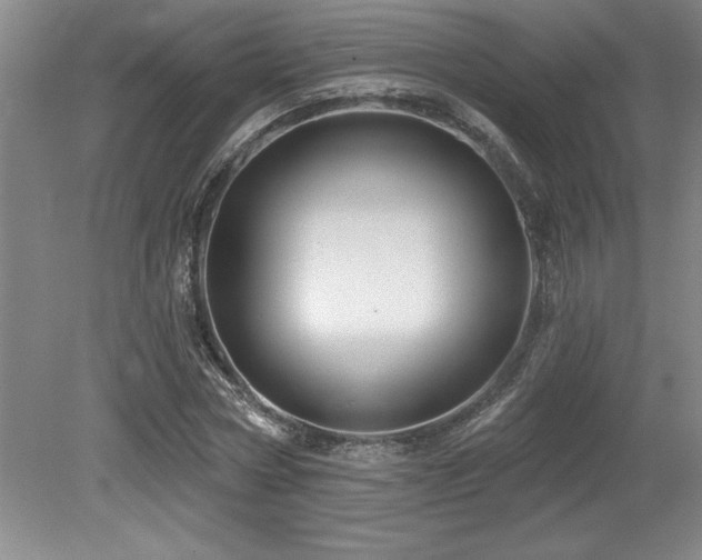 X0000079330778200611171148