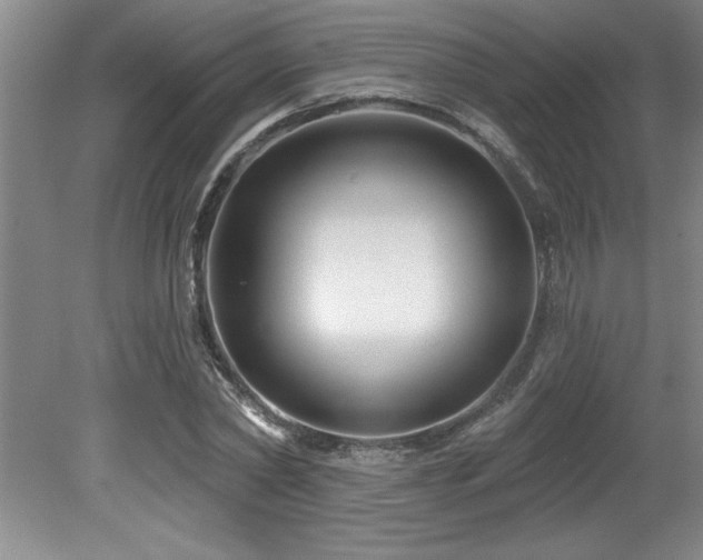 X0000079330782200611171148