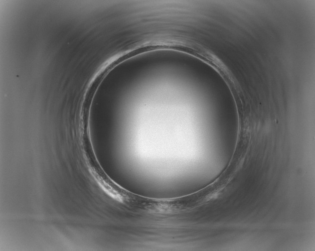 X0000079330787200611171148