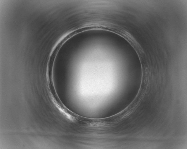X0000079330788200611171148