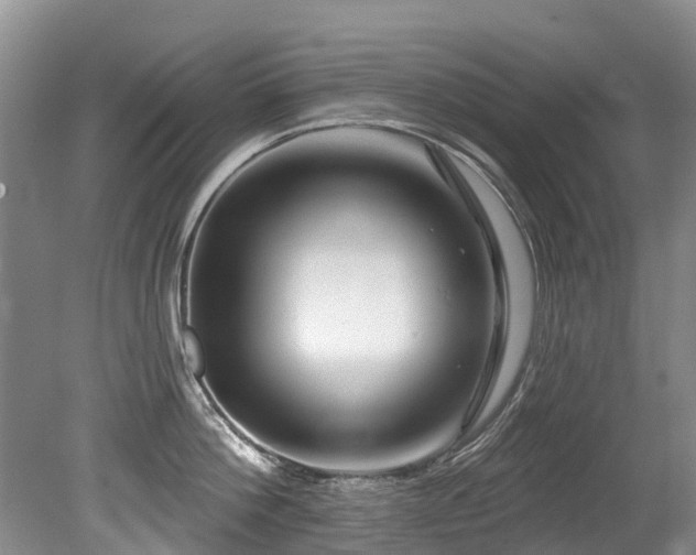 X0000079330812200611171147