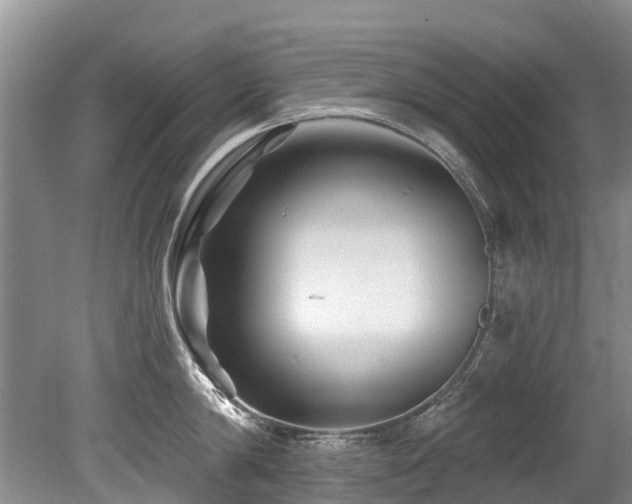 X0000079330814200611171147
