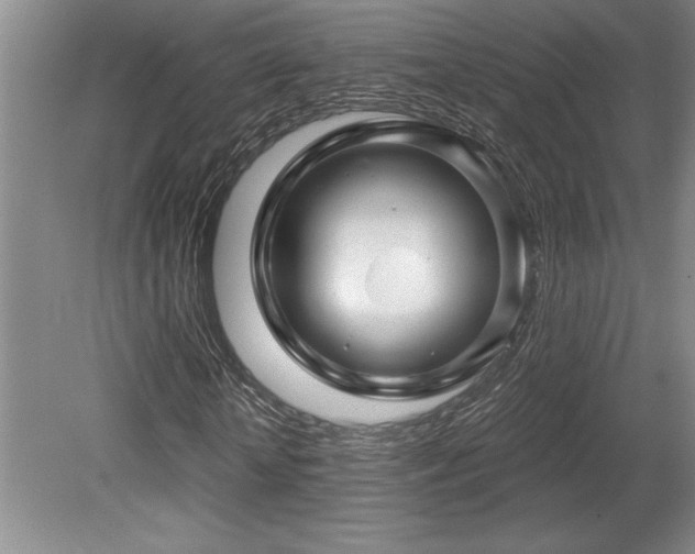 X0000079330818200611171146