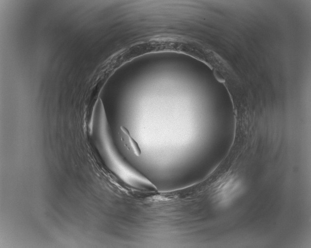 X0000079330821200611171146