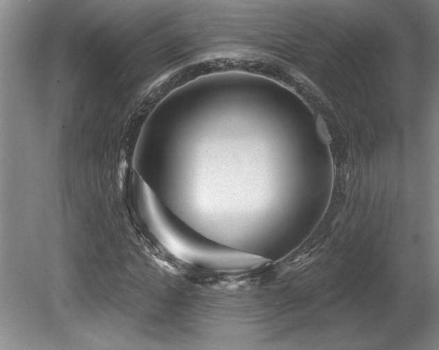 X0000079330822200611171146