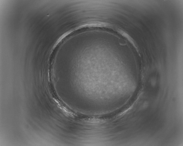 X0000079330829200611171147