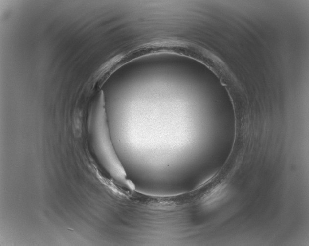 X0000079330833200611171147