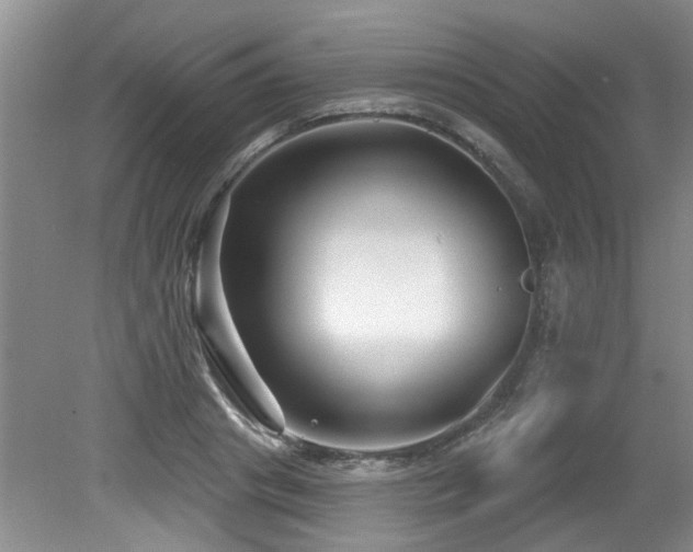 X0000079330841200611171147