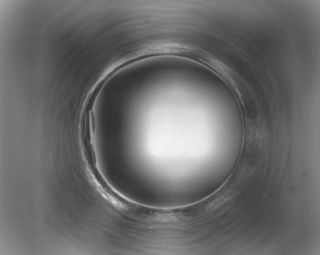 X0000079330843200611171147
