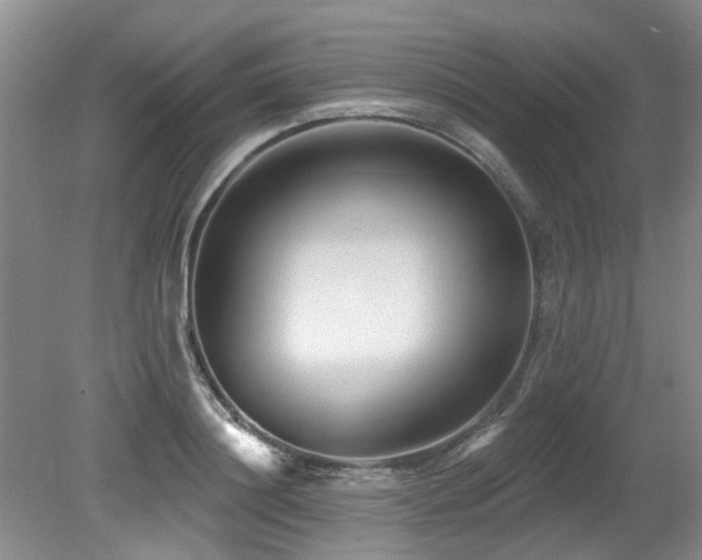 X0000079330844200611171147