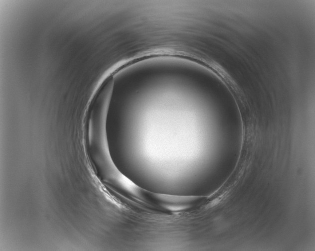 X0000079330854200611171147