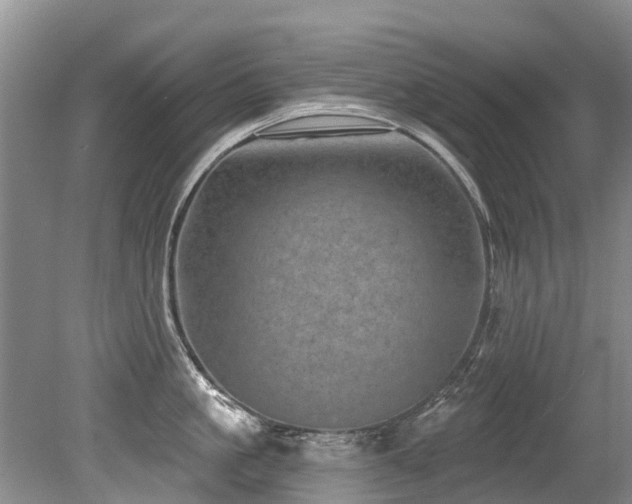 X0000079330861200611171147