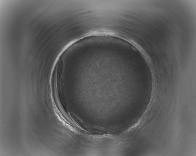 X0000079330864200611171147