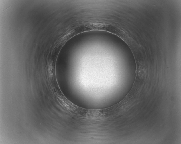 X0000079330866200611171146