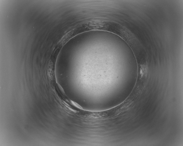 X0000079330867200611171146