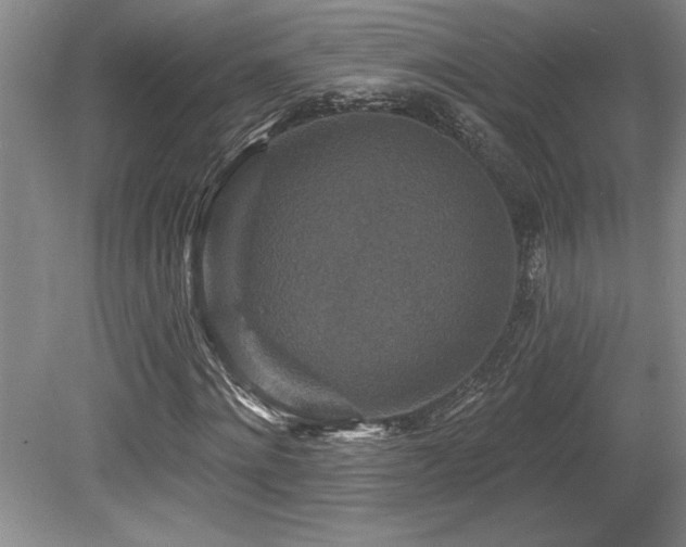 X0000079330868200611171146