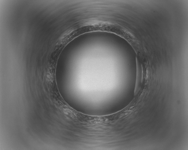 X0000079330869200611171146