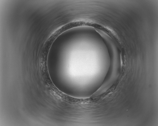 X0000079330872200611171146