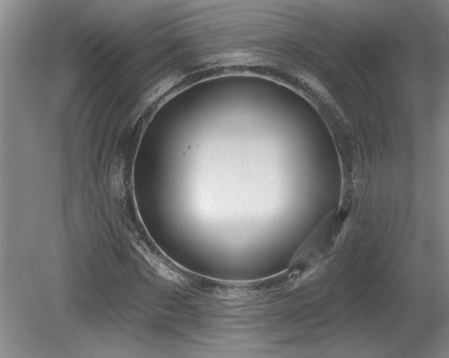 X0000079330873200611171146