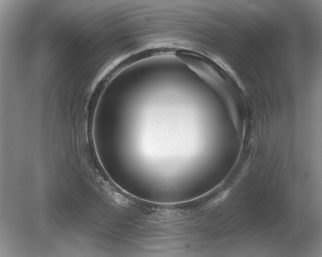 X0000079330877200611171146