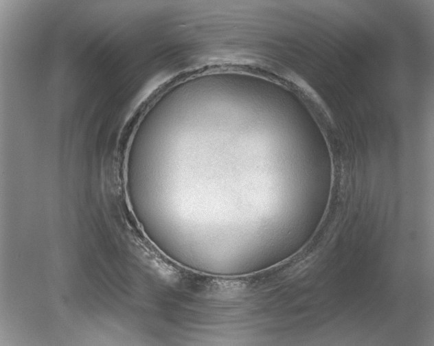 X0000079330878200611171146