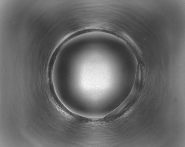 X0000079330884200611171146